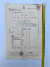 Diploma attestato scuola usato  Lagonegro