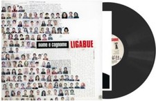 Vinile ligabue nome usato  Italia