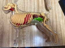 Vintage renwal dog for sale  Waterford