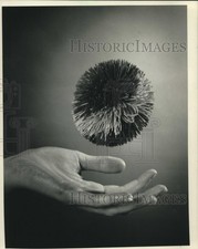 1988 press photo for sale  Memphis