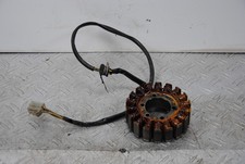 67775 statore ducati usato  Roma