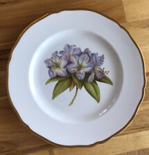 Vintage spode rhododendrons for sale  TRURO