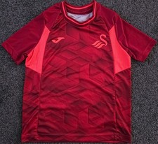 Swansea city 2023 for sale Swansea city 2023 for sale  NEATH