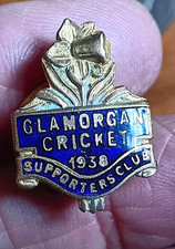 Small glamorgan cricket for sale  NEWPORT