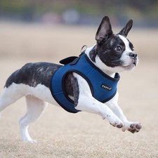 Puppia hundegeschirr blau gebraucht kaufen  Deutschland