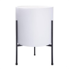 Modern white plants for sale  Brentwood