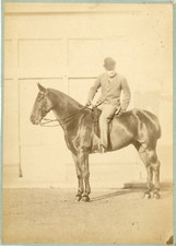England gentleman horseback d'occasion  Expédié en Belgium