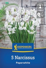 Kiepenkerl zimmer narzisse gebraucht kaufen  Aurich