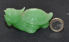 Tartaruga giada testa usato Tartaruga giada testa usato  Casalpusterlengo