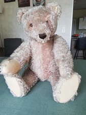 Steiff teddy cm gebraucht kaufen  Zetel