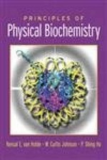 Principles physical biochemist for sale  Philadelphia
