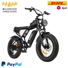Bicicletta elettrica pieghevol usato  Curinga