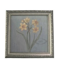 Danhui nai daffodil for sale  Pottstown