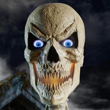 Home accents skelly for sale  Kingston