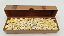 cowrie shell for sale cowrie shell for sale LIGHTWATER