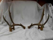 Huge 3x3 colorado for sale  Florence