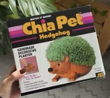 Hedgehog chia pet for sale  Brodhead