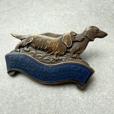 South african dachshund for sale  NEWPORT