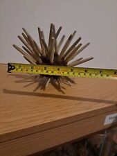 Medium pencil urchin for sale  KETTERING