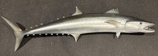 King mackerel kingfish for sale  Sykesville