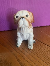Bulldog english brown for sale  SOUTHEND-ON-SEA