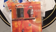 Flea topi uomini usato  Taranto