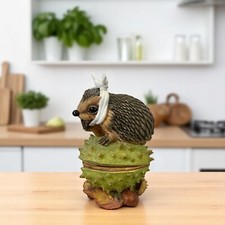 Rare hedgies first for sale  EASTBOURNE