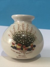 Lucky white heather for sale  PLYMOUTH