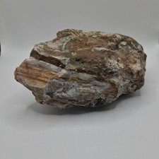 Petrified wood opalized for sale  Portland
