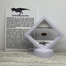 Tyrannosaurus rex rex for sale  Davenport