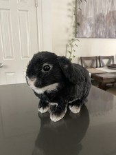 Plush holland lop for sale  Issaquah