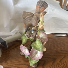 Vintage national audubon for sale  Elsberry
