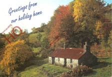 Picture postcard scotland for sale  NEWCASTLE UPON TYNE