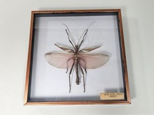 Vintage framed open for sale  LYDNEY