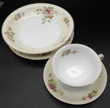 Hira porcelain occupied for sale  Sioux Falls