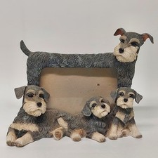 Unique schnauzer dog for sale  BARNSTAPLE
