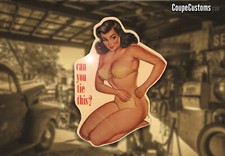 Sexy pinup water for sale  Chino Valley