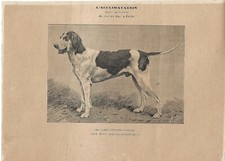 Antique print bastard d'occasion  Expédié en Belgium