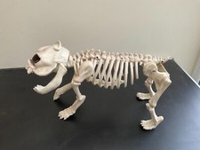 Halloween decoration skeleton for sale  LIVERPOOL