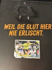 Erling haaland 803 gebraucht kaufen  Bad Wurzach