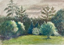 Arbustes impressionnistes arbu d'occasion  Expédié en France