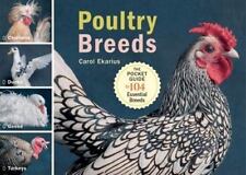 Poultry breeds chickens for sale  Easley
