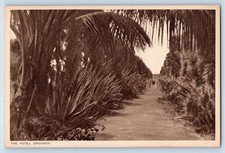 Cartão postal Nassau Bahamas Walkway in The Hotel Grounds c1930's vintage não publicado comprar usado Cartão postal Nassau Bahamas Walkway in The Hotel Grounds c1930's vintage não publicado comprar usado  Enviando para Brazil