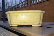Saffron ceramics bonsai for sale  TEDDINGTON