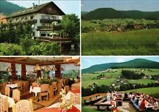 Baiersbronn mitteltal gasthof gebraucht kaufen  Bad Bergzabern