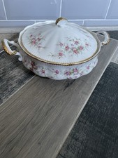 Paragon victoriana rose for sale  BLAYDON-ON-TYNE