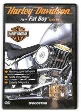 Harley davidson flstf usato  Italia