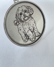 Marca cane maltipoo usato  Spedire a Italy