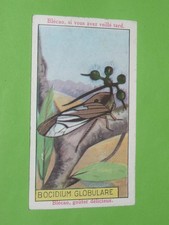 Chromo 1930 1950 d'occasion Chromo 1930 1950 d'occasion  Vendat