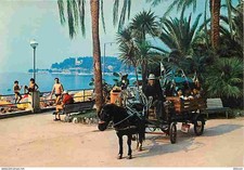 Animaux chevaux varazze d'occasion  Fruges
